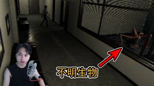 �ֲ����� Testbed Terror1.0 ���İ�