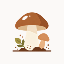 Ұ�������ݿ�app���ذ�װv1.0.4 ��׿��