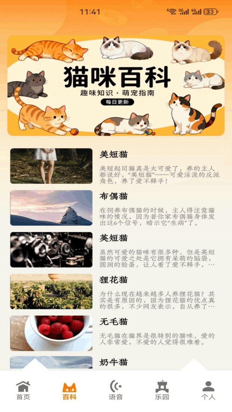 暖暖猫咪官方版v5.1 中文版