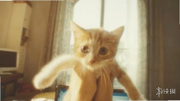 ����è Gravity Catv1.0