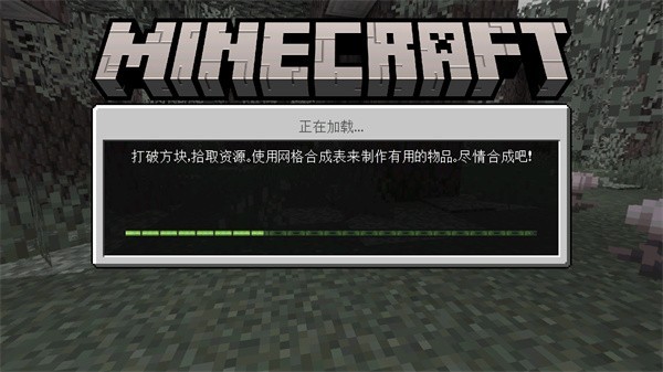 我的世界