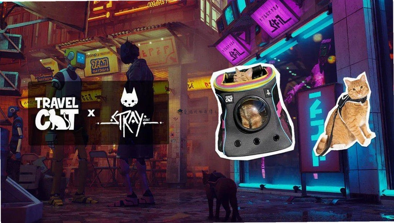 ����è�Ĵ�Խ1.0 ���°�