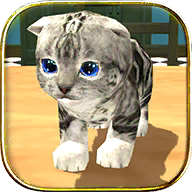 è��ģ����С��Ϸ(Cat Sim)v5.4.1 ��׿��