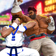 ��ͷս��Ӱ�Ӱ����ֻ���Ϸ(Street Fighting Shadow Gang)v5.0 ���°�