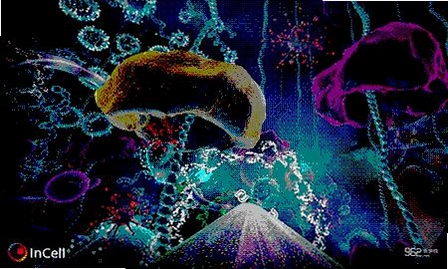 ϸ���ڲ�v1.0