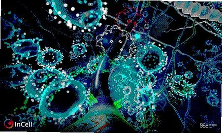 ϸ���ڲ�v1.0