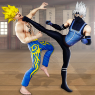 Karate King Kung Fu Fight���ֵ�֮��ս��v2.9.5 �ֻ���