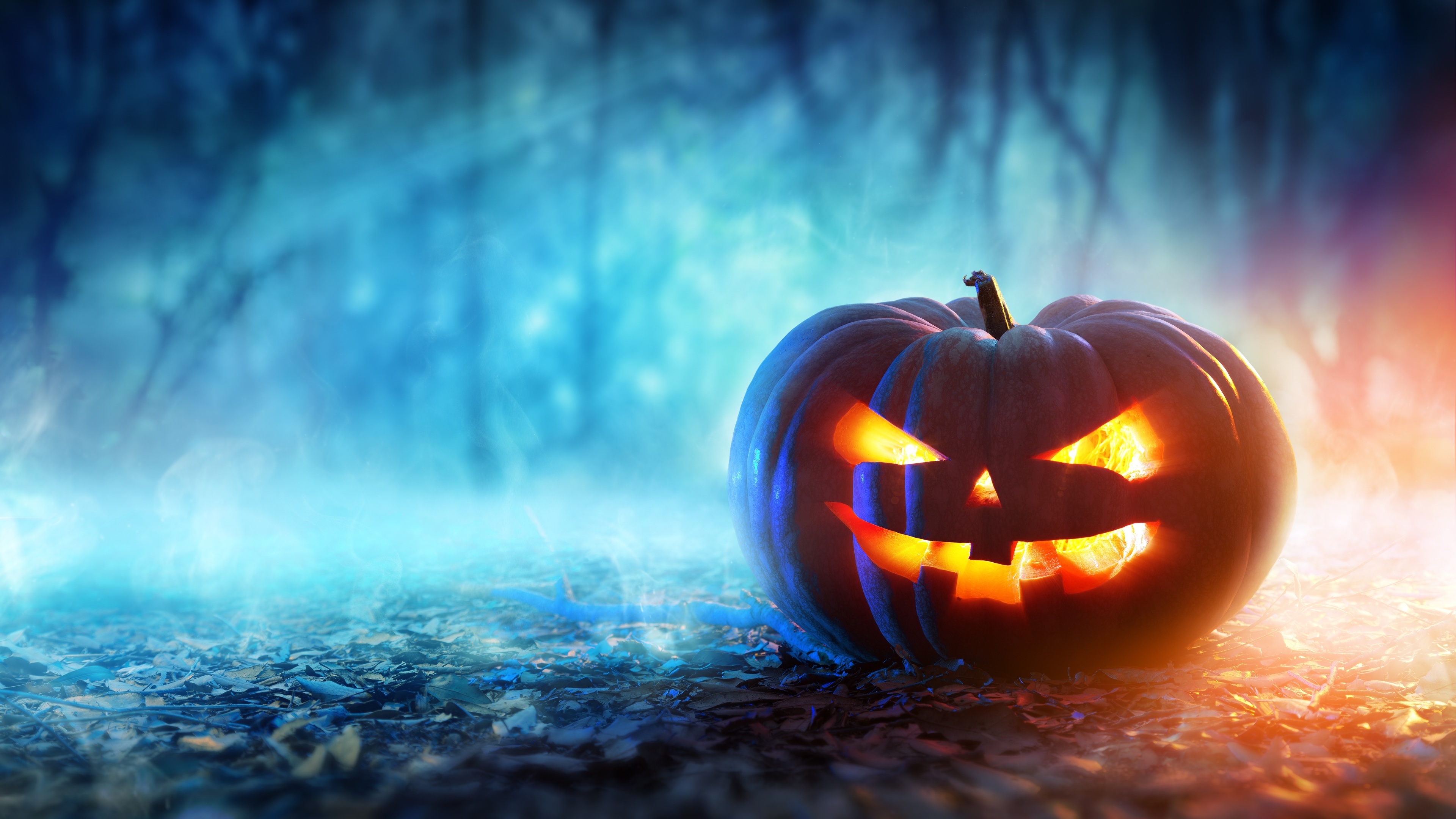 Evil Pumpkin: The Lost Halloween а���Ϲϣ�ʧ����ʥ��1.0 ���°�