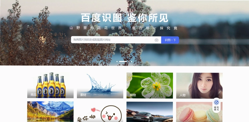 动态识图1.0 最新版
