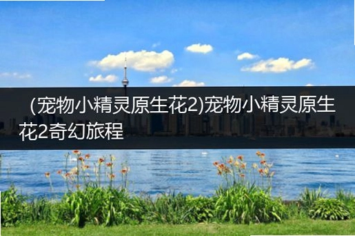 ԭ����2:����ó� ���ĺ�����1.0 ��ȫ������