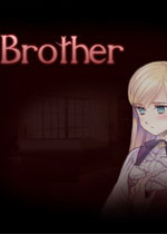 Brother �ֵ�1.0.0 ����Ӳ�̰�