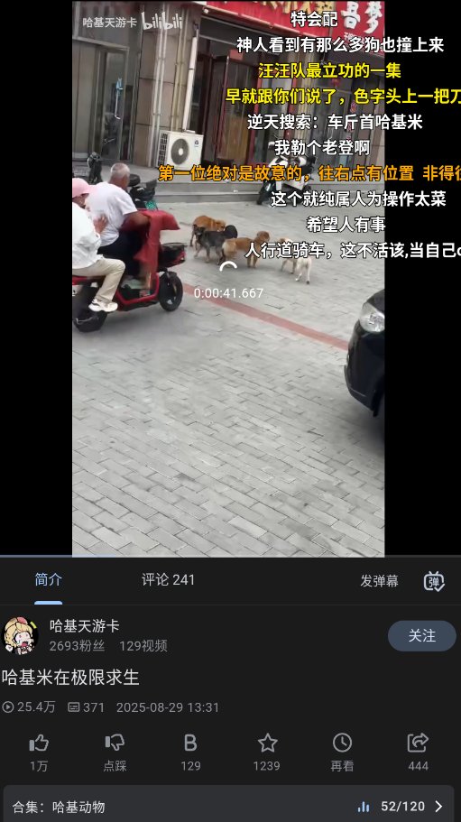 PiliPro最新版下载v1.5.0-1ece71bd9 安卓版