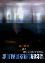 �����ֳ���֤:ŦԼƪ CSI: NY1.0