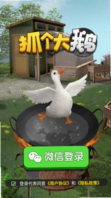 抓小21.0