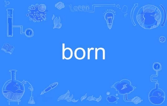 Vector Born ��������1.0.0 �ⰲװ��