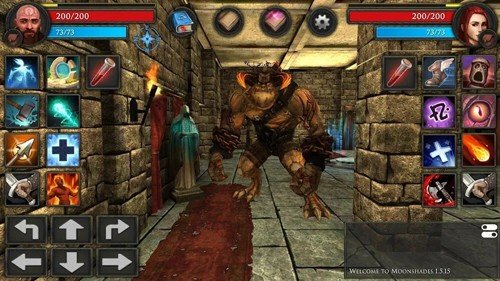 ��Ӱ���κ���������(Moonshades)v1.10.0 ���ò˵�