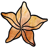 ����ͷ��Ϸ(Karambola)v1.6.8 ��׿��