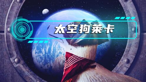 ̫�չ��������˼�1.0 ��ʽ��