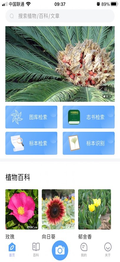 ������רҵ��appv2.11.09 ���°汾