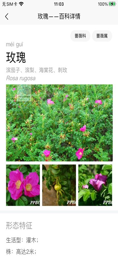 ������רҵ��appv2.11.09 ���°汾