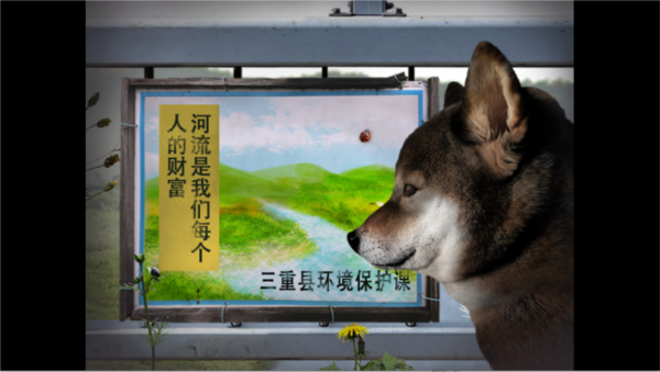 翌日波奇狗的历险记