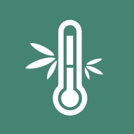 С�����appv1.0 ���°�