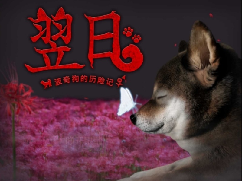 翌日波奇狗的历险记安卓版v1.0 官方版