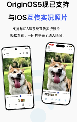vivo互传和苹果怎么传实况图 vivo互传和苹果传实况图步骤 vivo互传和苹果怎么传实况图 vivo互传和苹果传实况图步骤