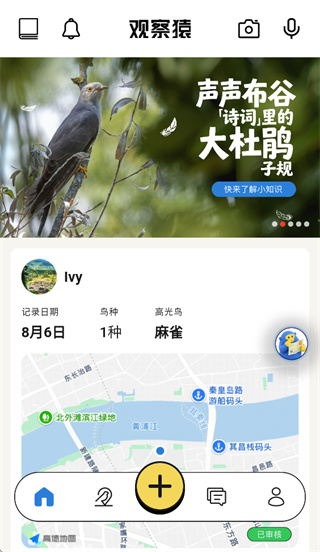 观察猿app下载 观察猿app下载