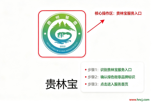 贵林宝下载 贵林宝下载