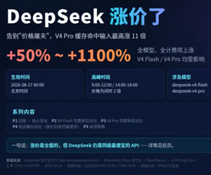 deepseek�Ǽ����˶��� deepseek�Ǽۺ�۸�Ա� 
