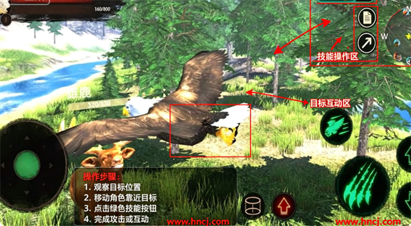 老鹰模拟器最新版 老鹰模拟器最新版