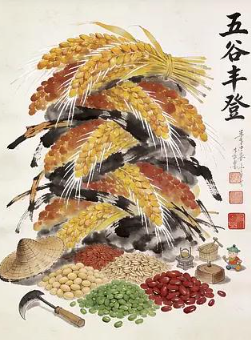 丰收之年五谷丰登好年景喜获大丰收 丰收之年五谷丰登好年景喜获大丰收