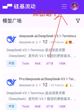 �þ��������°氲װ��
