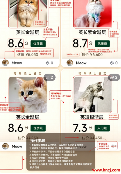 喵然纸上app 喵然纸上app