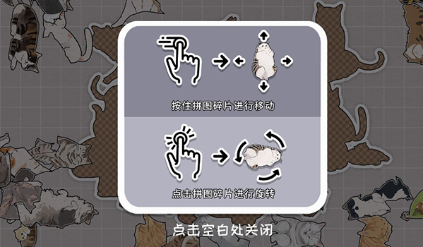 挤在一起的猫猫安卓版 挤在一起的猫猫安卓版