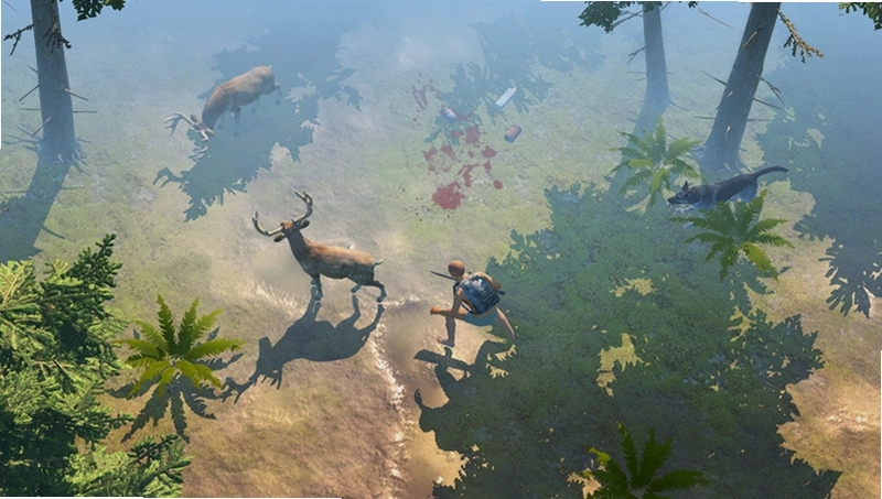 野人生存 Wild Survival1.0.0 2026最新版