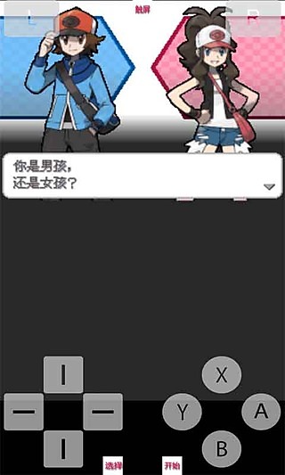 �ڴ����ְ� Pokemon White1.0 ���ĺ�����