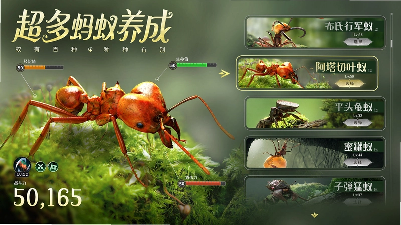 Ant Brothers1.0 ����Ӳ�̰�