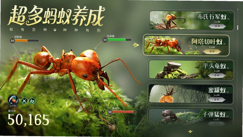 蚂蚁兄弟1.0 中文硬盘版