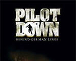 敌后阵线 Pilot Down: Behind Enemy Lines硬盘版