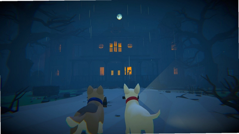 ���ص�צ��Hidden Paws1.0