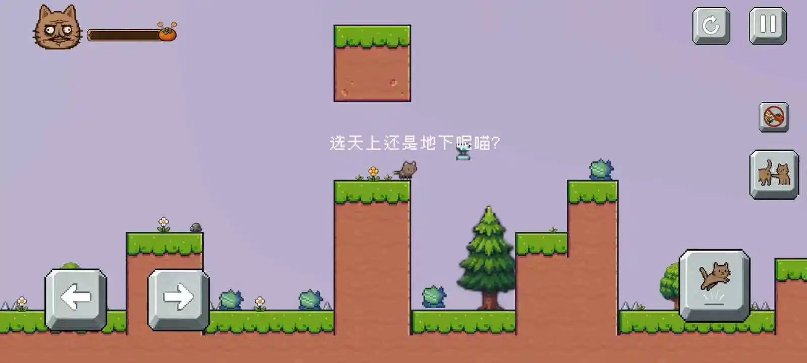 药柿了喵手游v1.0 安卓版