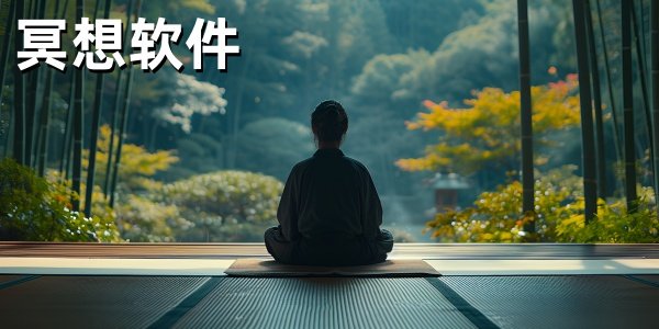 ڤ������