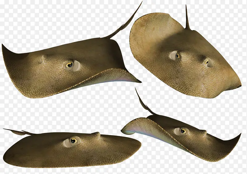 ����1.0 �ٷ���ʽ��