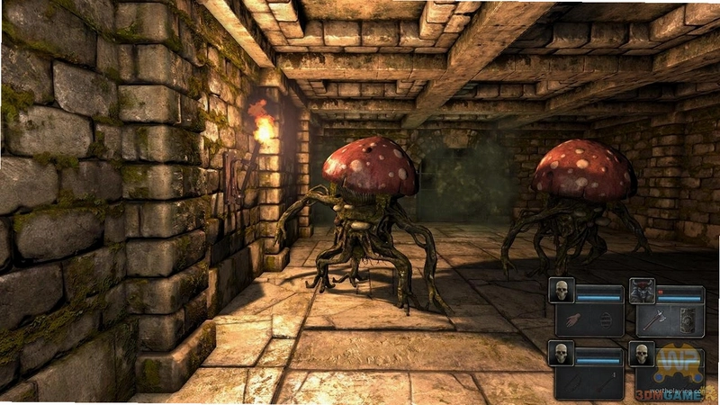 魔岩山传说 Legend of Grimrock1.3.7 完整破解版