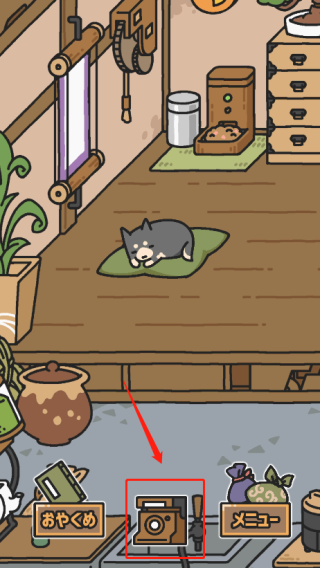 ������ʹ��