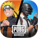 PUBGM���ʷ�2026v4.5.0 ��׿���°�