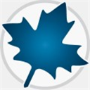 Maplesoft Maple2021���°�Maple2021.2 ��ѧ�����뽨ģ����