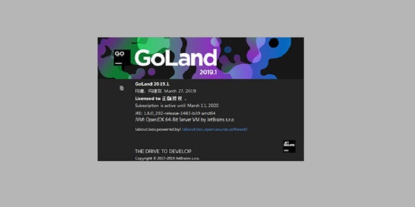JetBrains GoLand 2020���İ�2020.3.3 רҵGo����IDE